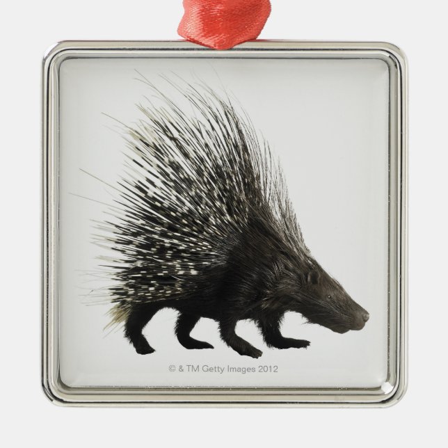 Porcupine Julgransprydnad Metall (Framsidan)