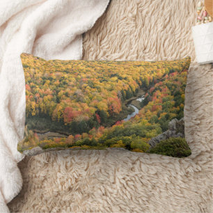 Porcupine Mountains Wilderness State Park Lumbarkudde