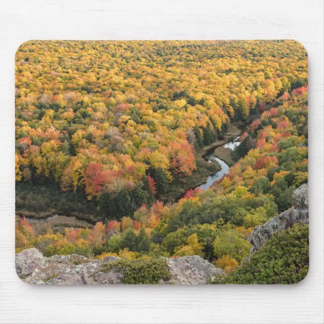 Porcupine Mountains Wilderness State Park Musmatta (Framsidan)