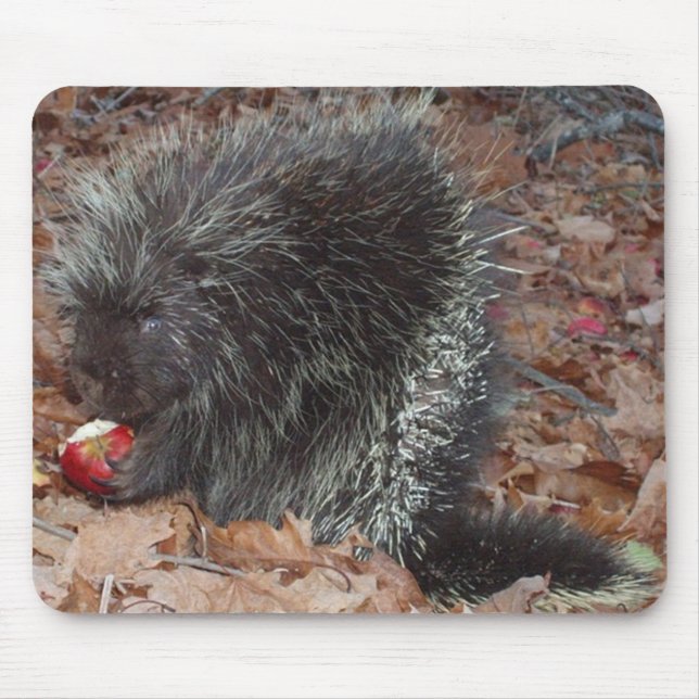 Porcupine och Apple Musmatta (Framsidan)