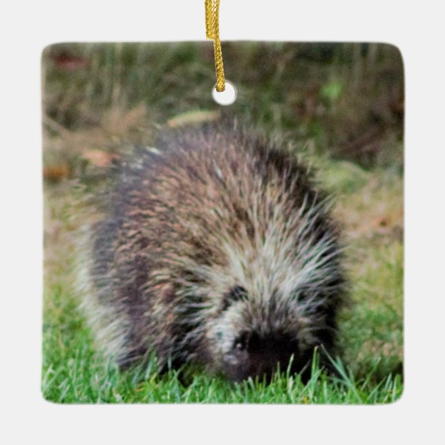 Porcupine på Ricketts Glenn Julgransprydnad Keramik (Framsida)