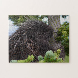 Porcupine Pussel