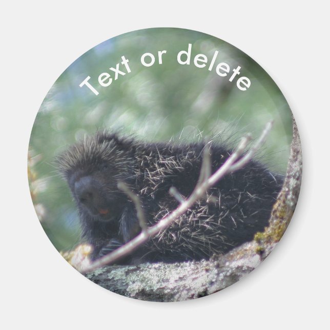 Porcupine Wildlife Animal Nature Personalized Magnet (Framsidan)