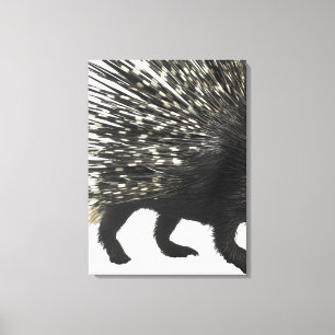 Porcupinequills Canvastryck