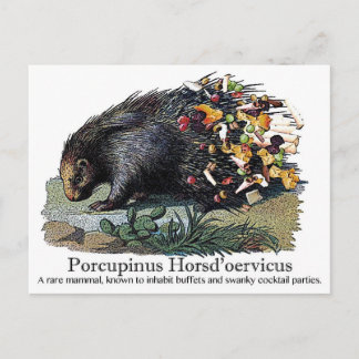 Porcupinus Hoerd'oervicus Vykort