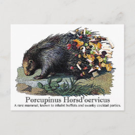 Porcupinus Hoerd'oervicus Vykort