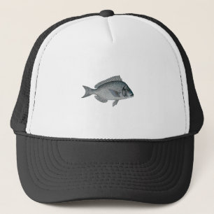 Porgy - Scup Truckerkeps