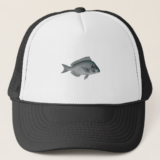 Porgy - Scup Truckerkeps