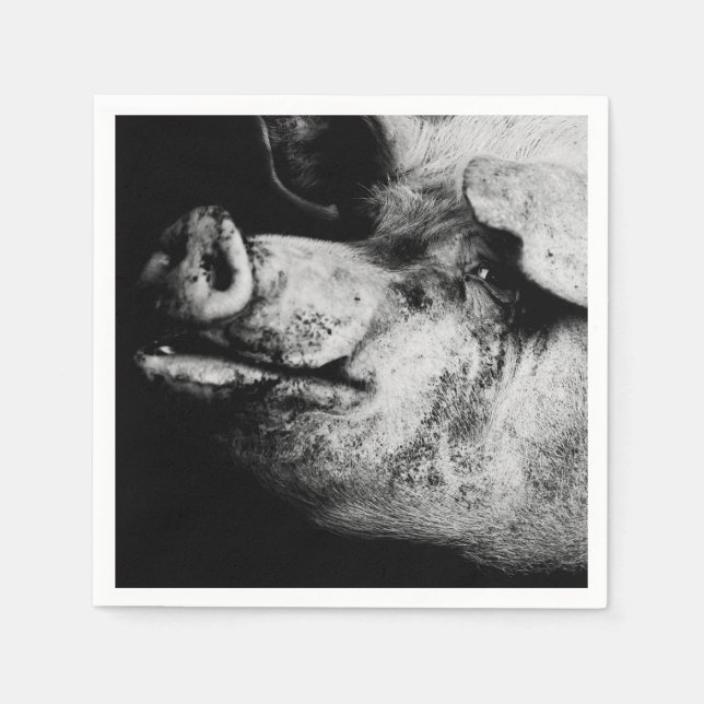 Porker porträtt pappersservett (Framsidan)