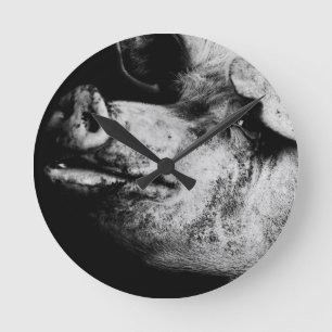 Porker porträtt rund klocka