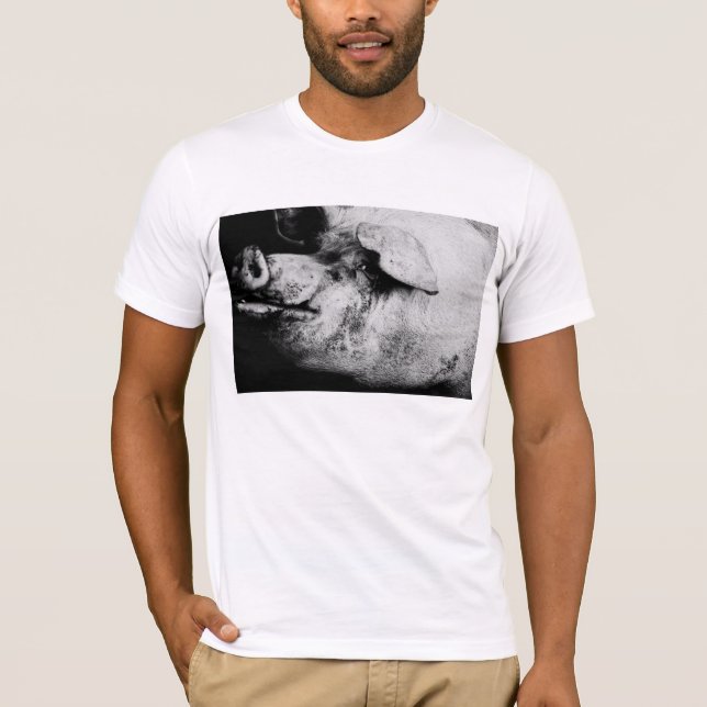 Porker porträtt tee (Framsida)