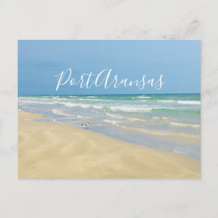 Port Aransas Beach Vykort