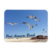 Port Aransas Fiskmås Photography Söt Beach