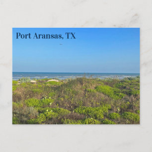 Port Aransas Texas Strandgräsfotografering Vykort