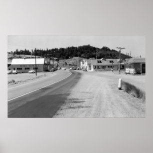 Port Orford, Oregon Town View-foto Poster