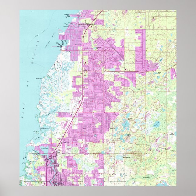Port Richey & New Port Richey Florida Karta (1954) Poster (Framsidan)