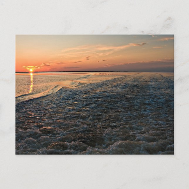 Port St Joe Sunset Vykort (Framsida)