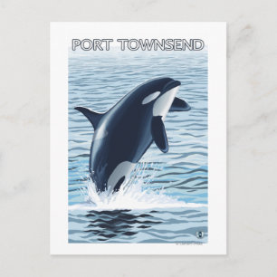 Port Townsend, WashingtonOrca Jumping Vykort