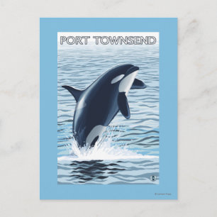 Port Townsend, WashingtonOrca Jumping Vykort