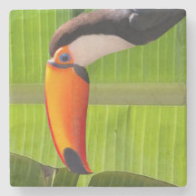 Porta copos de pedra design Tucano