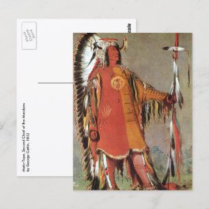 Portait of Indian Chief Mato-Tope by George Catlin Vykort