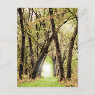 "Portal"-fotografi Vykort
