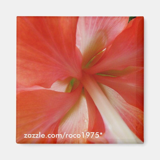 Portata Magnet (Framsidan)