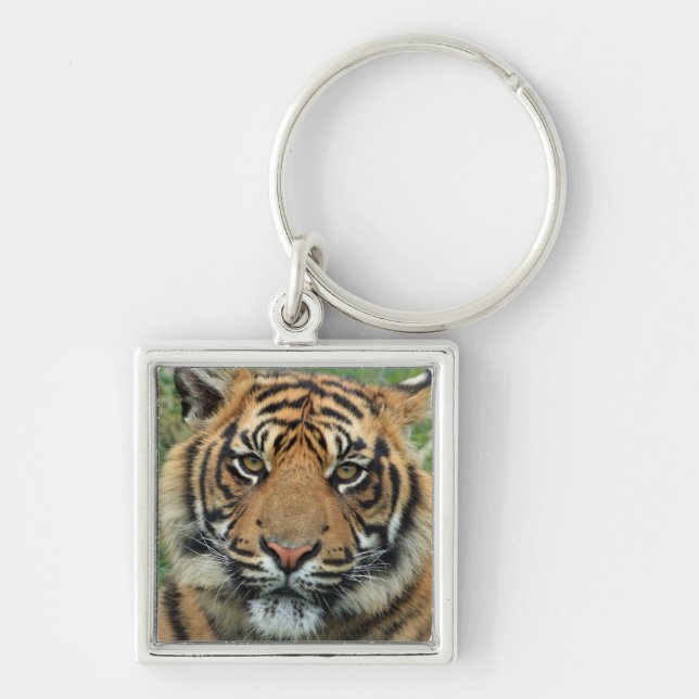 porte clef tigre fyrkantig silverfärgad nyckelring (Framsidan)