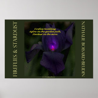 Portföljen "Fireflies & Stardust" Poster (16,5 x 1