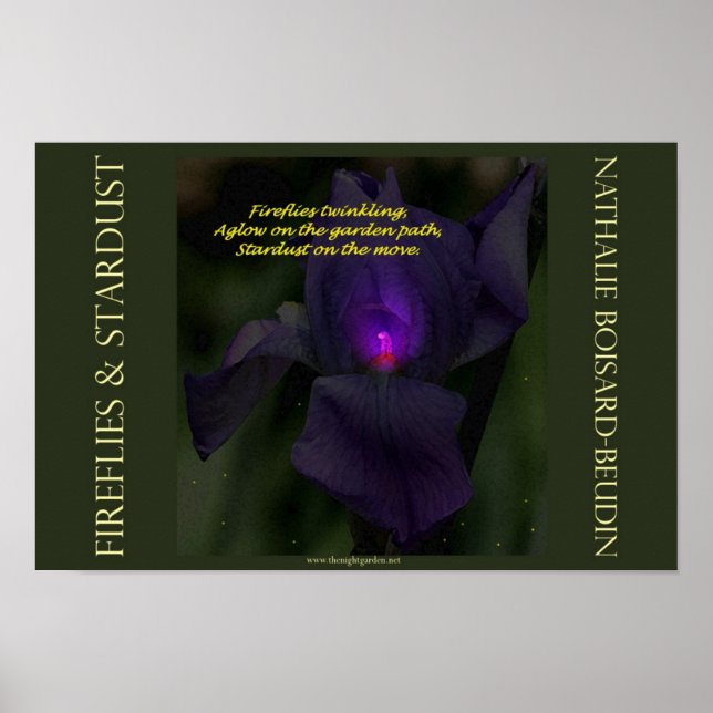 Portföljen "Fireflies & Stardust" Poster (16,5 x 1 (Framsidan)