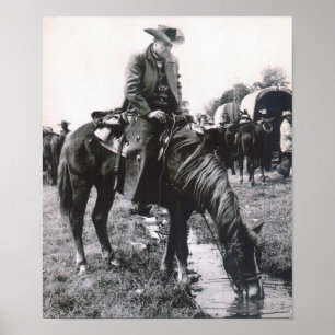 PORTFÖLJUTRYCK 11 X 13.31 POSTER