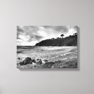 Porthluney Cove Canvastryck