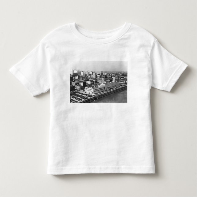 Portland ELLER antennen beskådar från Hawthorne T-shirt (Framsida)