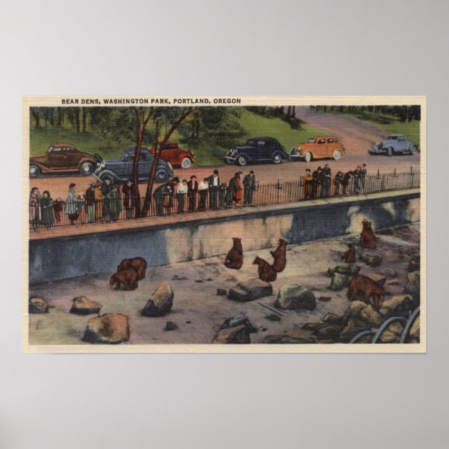 Portland, ORBear Dens i Washington Park Poster (Framsidan)