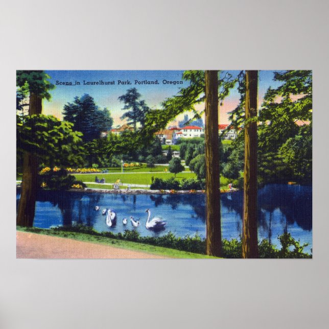 Portland, OregonLaurelhurst Park Scene Poster (Framsidan)
