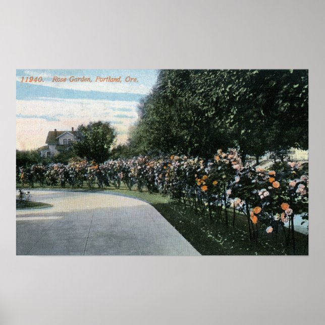 Portland, OregonView of a Ro Garden Poster (Framsidan)