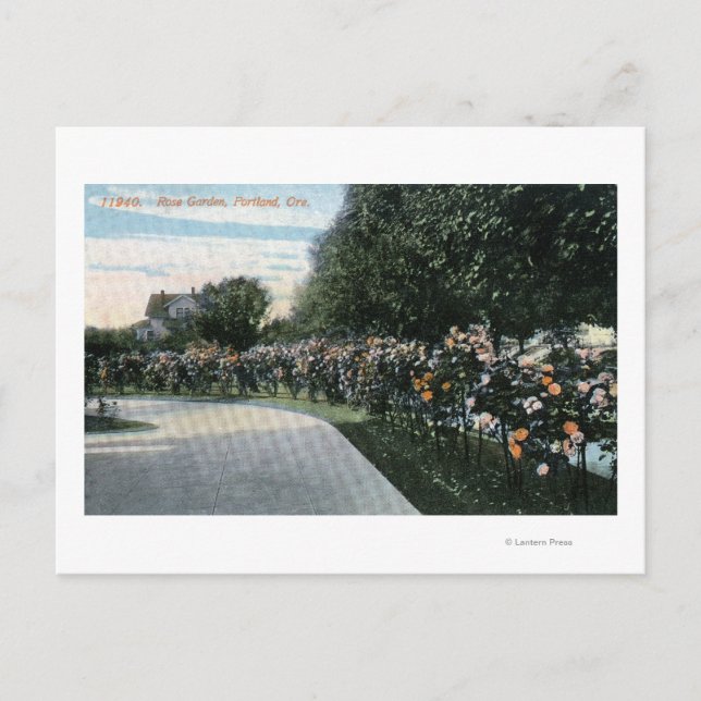 Portland, OregonView of a Ro Garden Vykort (Framsida)