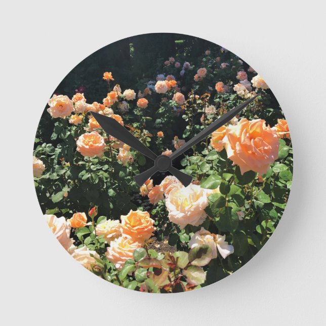 Portland Ro Garden, ELLER Rund Klocka (Framsida)