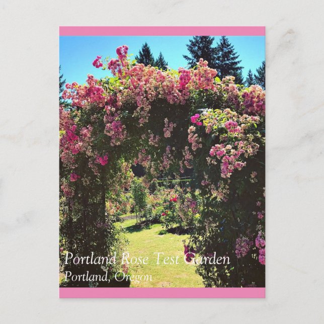 Portland Ro Garden, ELLER Vykort (Framsida)