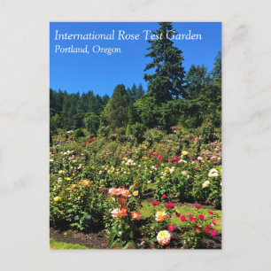 Portland Ro Garden, ELLER Vykort