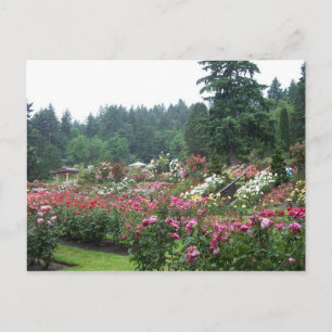 Portland Ro Garden. Vykort