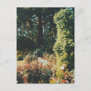 Portland Ro Garden Vykort