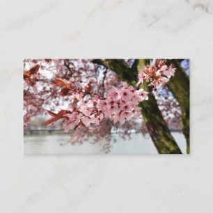 Portlands Rosa Embrace: Cherry Blommar Serenity Visitkort