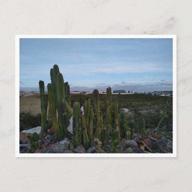 Porto Salvo Vykort (Framsida)