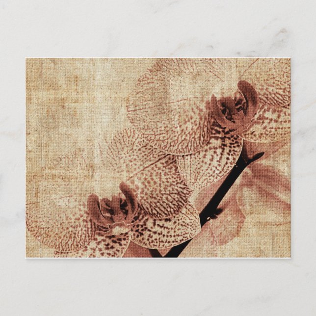 portokort vykort (Framsida)