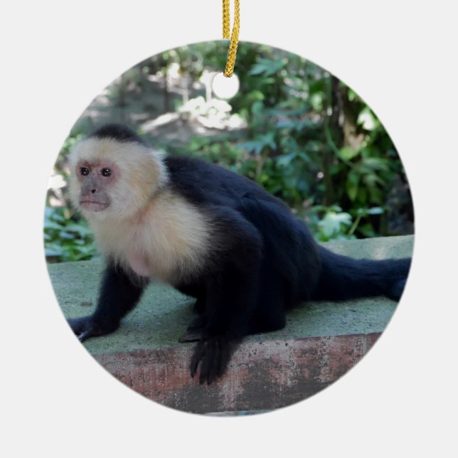 Portrait.JPG Julgransprydnad Keramik (Framsidan)