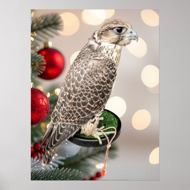 Portrait Of A Hunting Falcon Real Photo Poster (Framsidan)