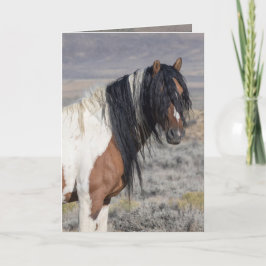 Portrait of Zephyr Wild Horse Greeting Card Inbjudan