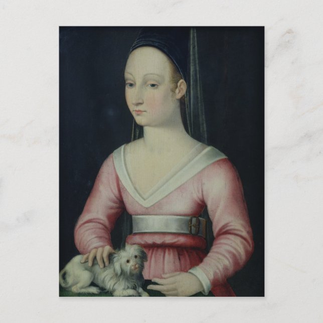 Porträtt av Agnes Sorel Vykort (Framsida)