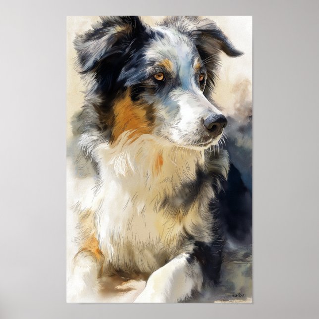 porträtt av australian shepherd poster (Framsidan)